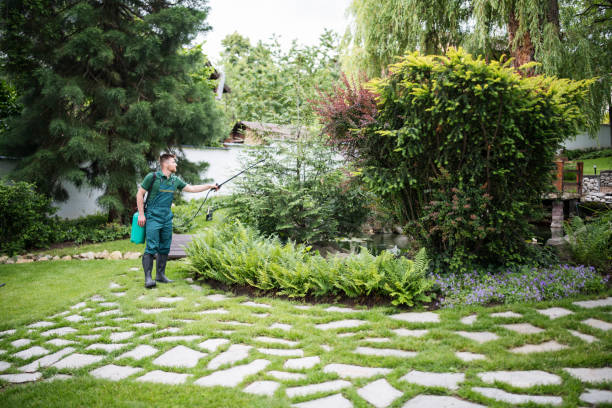 Trusted Tacoma, WA Pest Control Experts