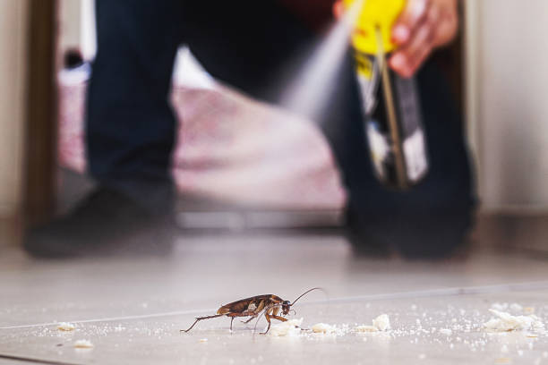 Pest Prevention Services in Tacoma, WA