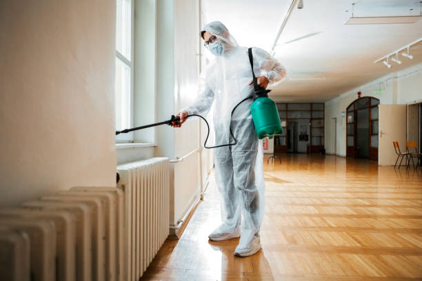 Best Pest Inspection Near Me  in Tacoma, WA