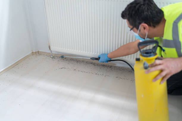 Best Termite Control Services  in Tacoma, WA